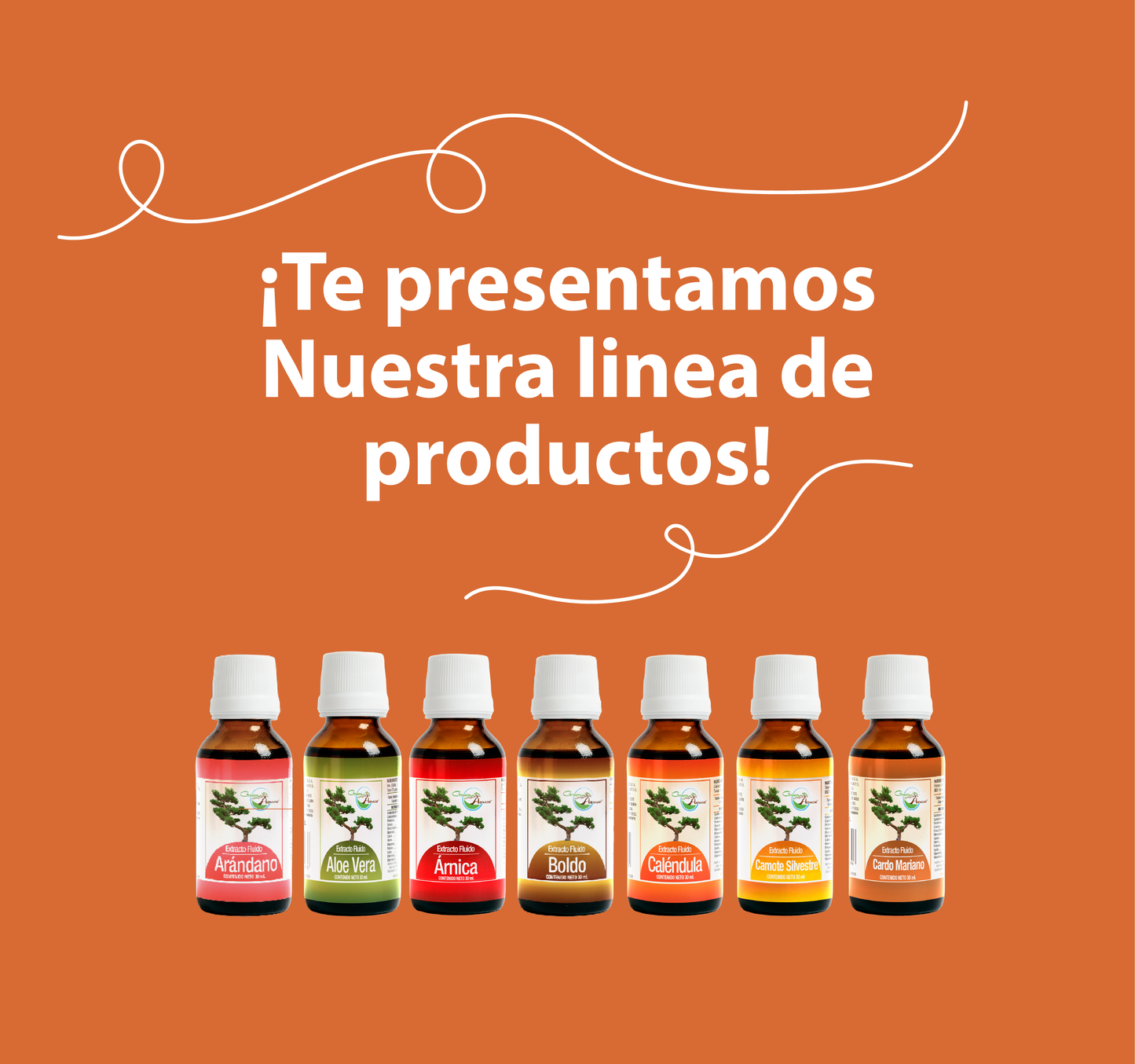 Cardo Mariano 30ml | extracto liquido