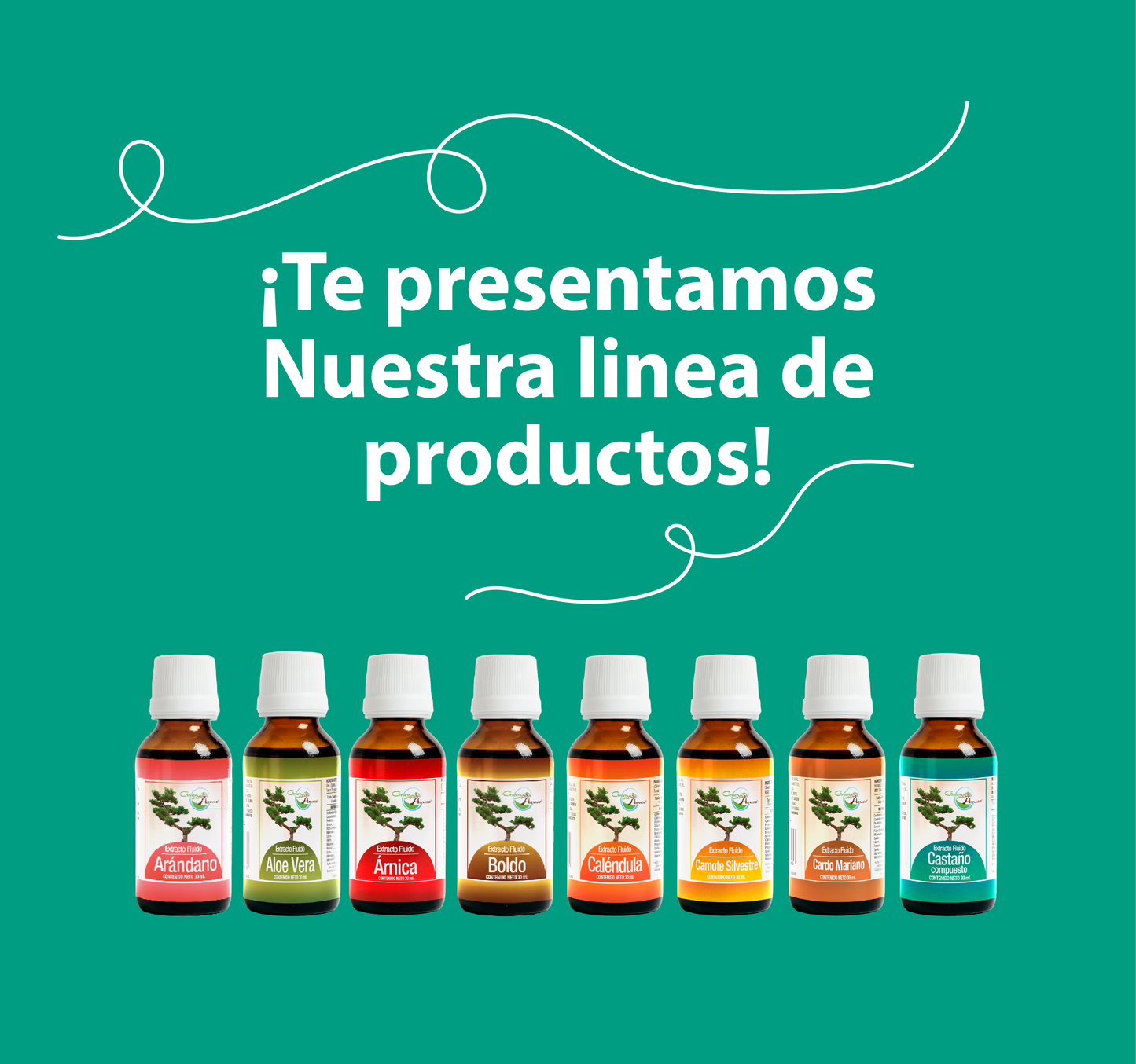 Castaño Compuesto 30ml | extracto liquido