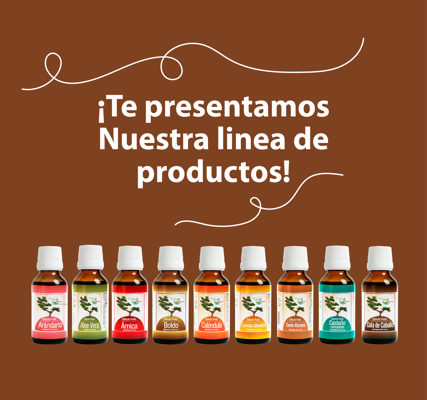 Cola de Caballo 30ml | extracto liquido