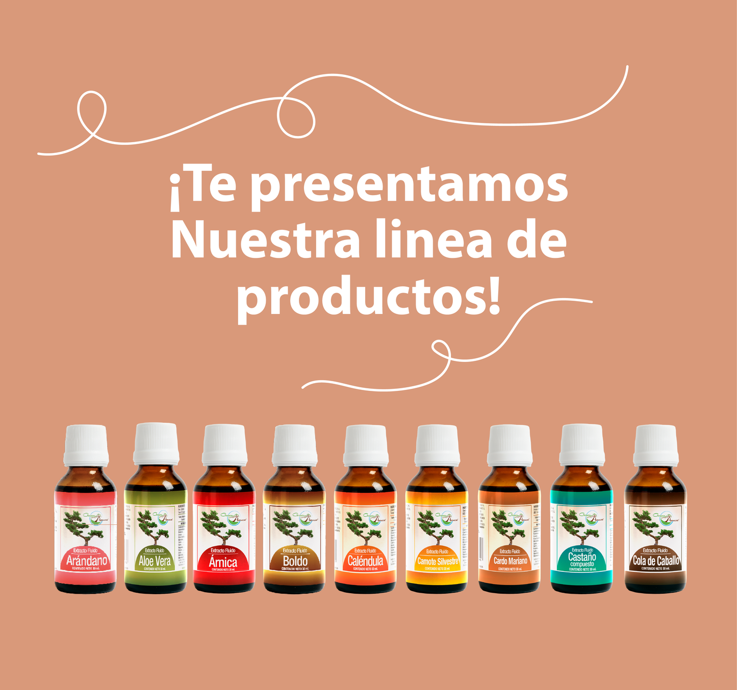 Cuachalalate 30ml | extracto liquido