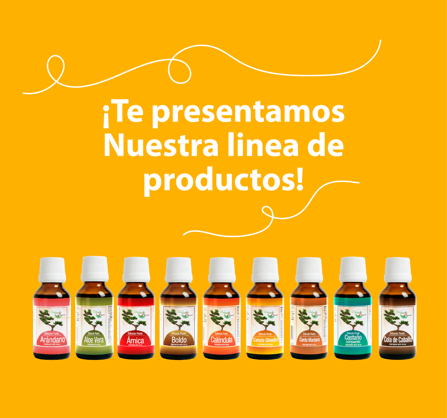 Diente de León 30ml | extracto liquido