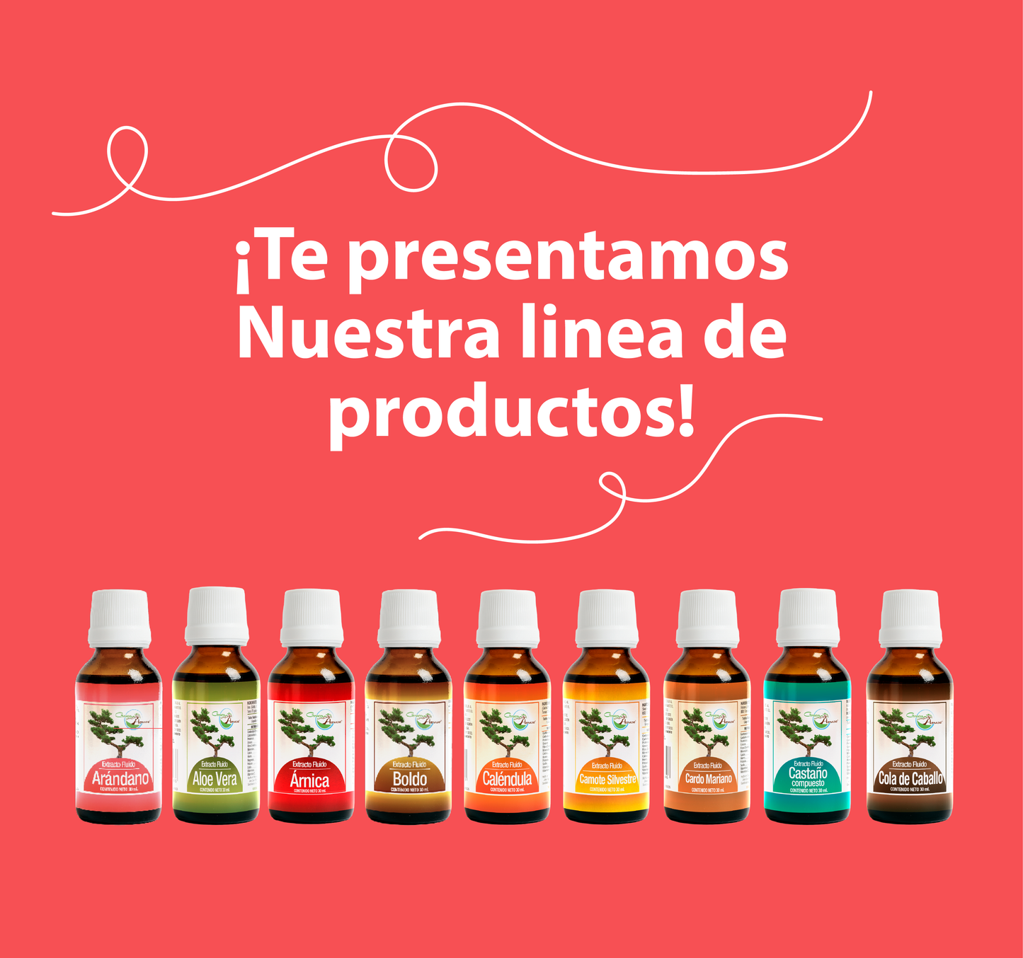Equinánea 30ml | extracto liquido