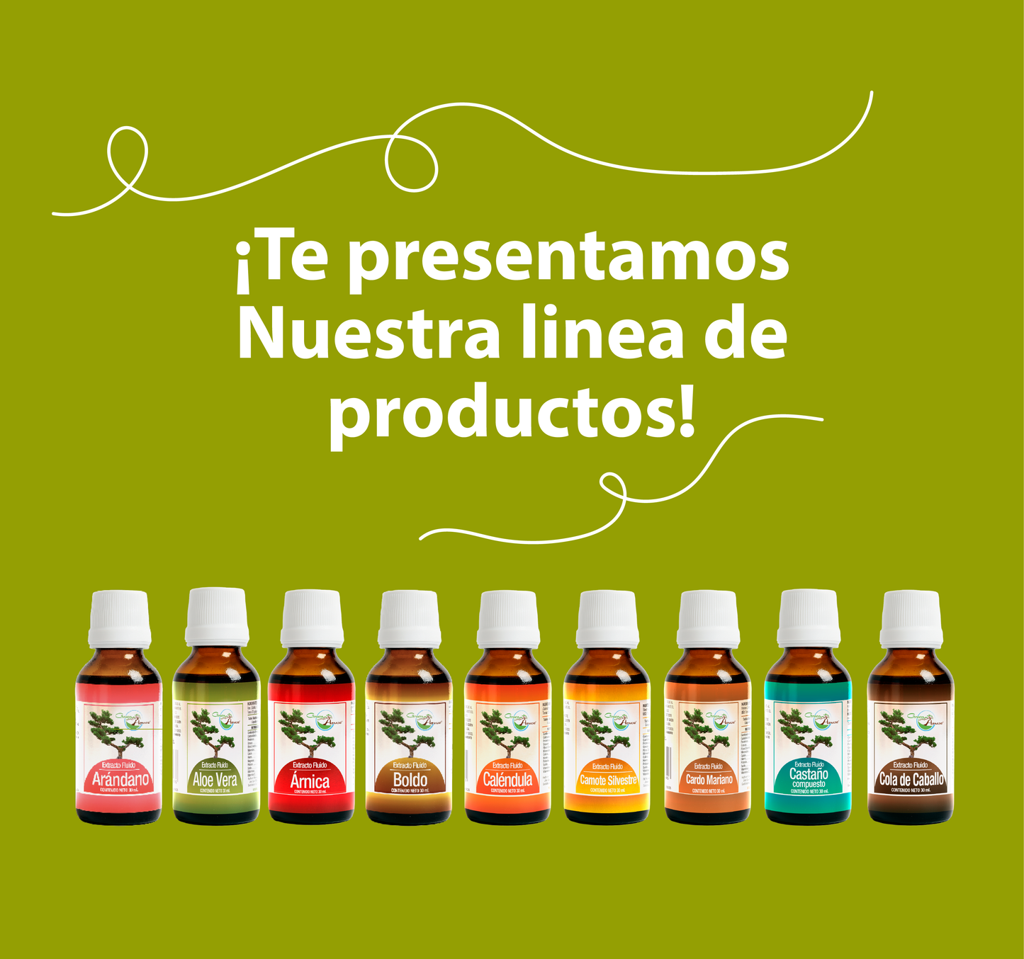 Neem 30ml | extracto liquido