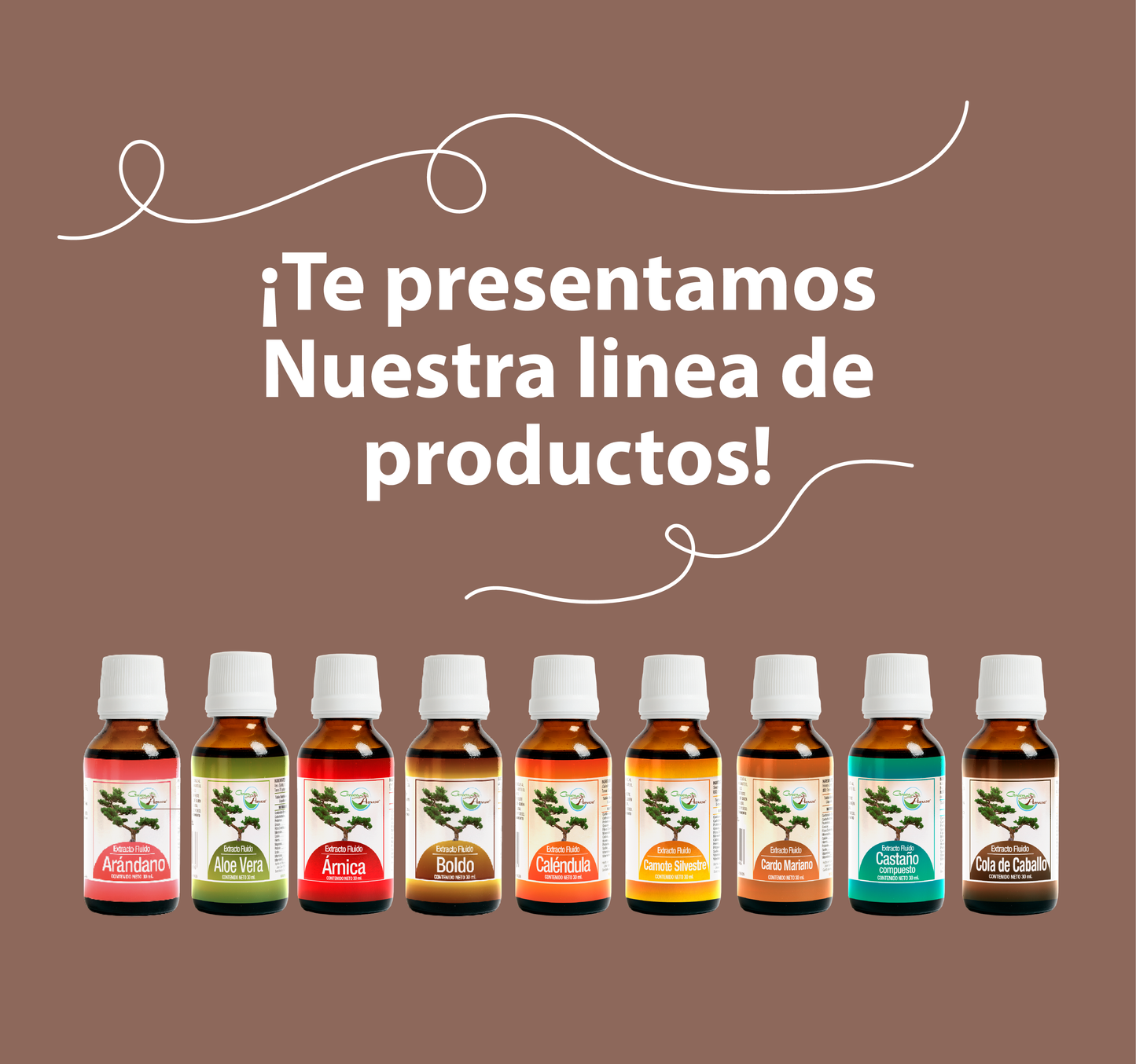 Phytolaca 30ml | extracto liquido