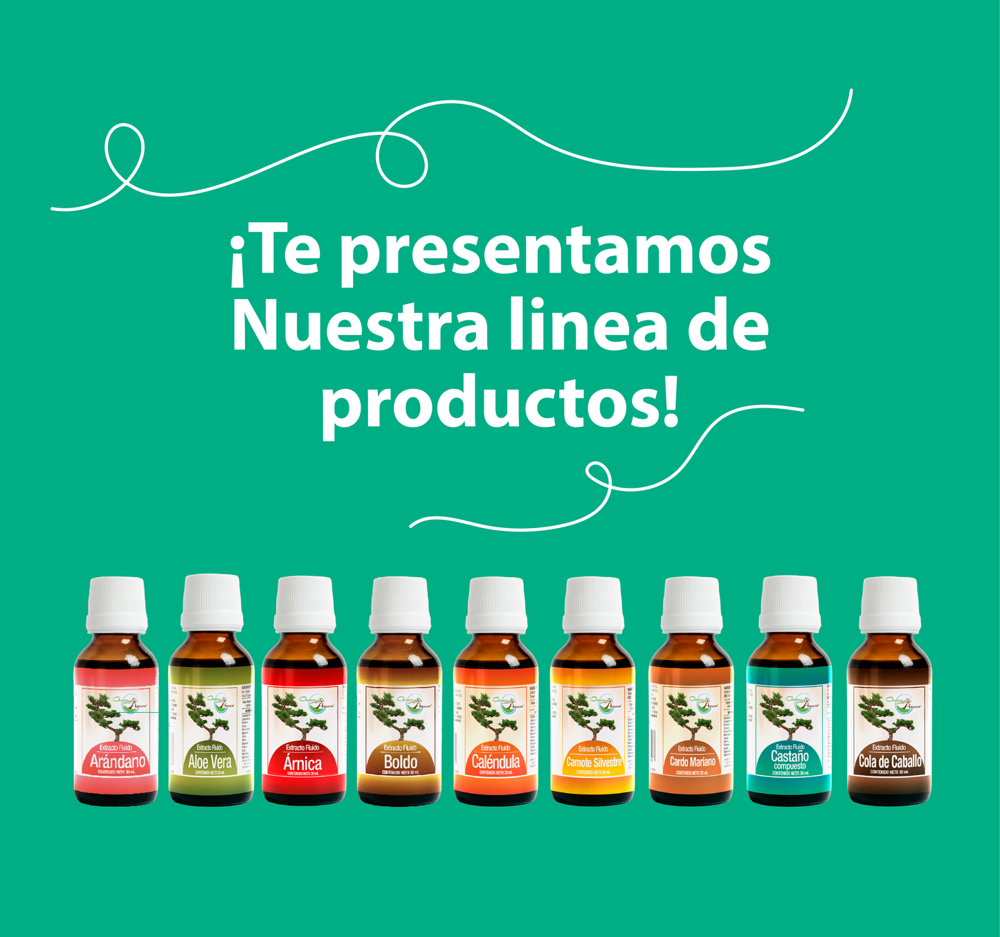 Saw Palmetto 30ml | extracto liquido