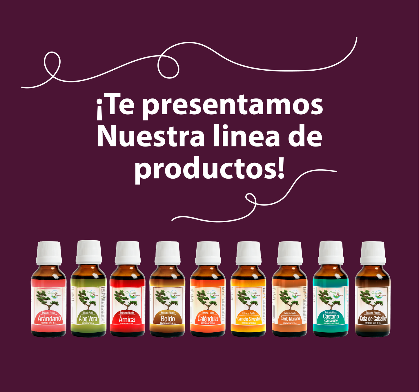 Yumel 30ml | extracto liquido