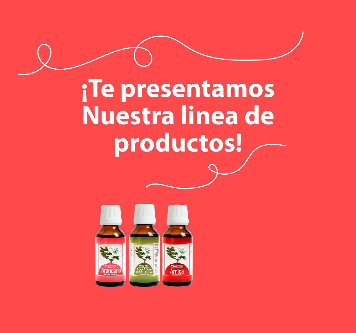 Arándano 30ml | extracto liquido