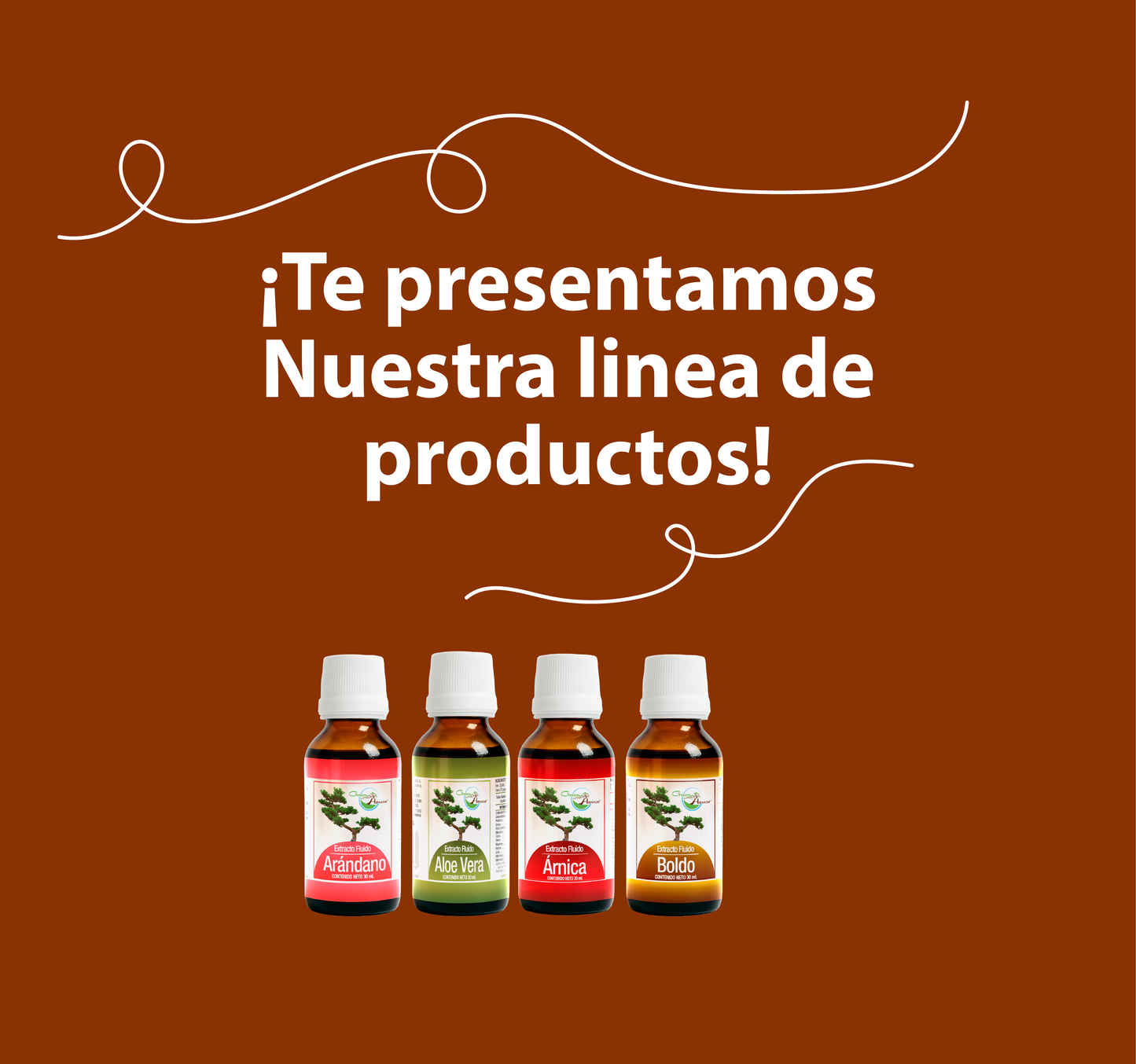 Boldo 30ml | extracto liquido