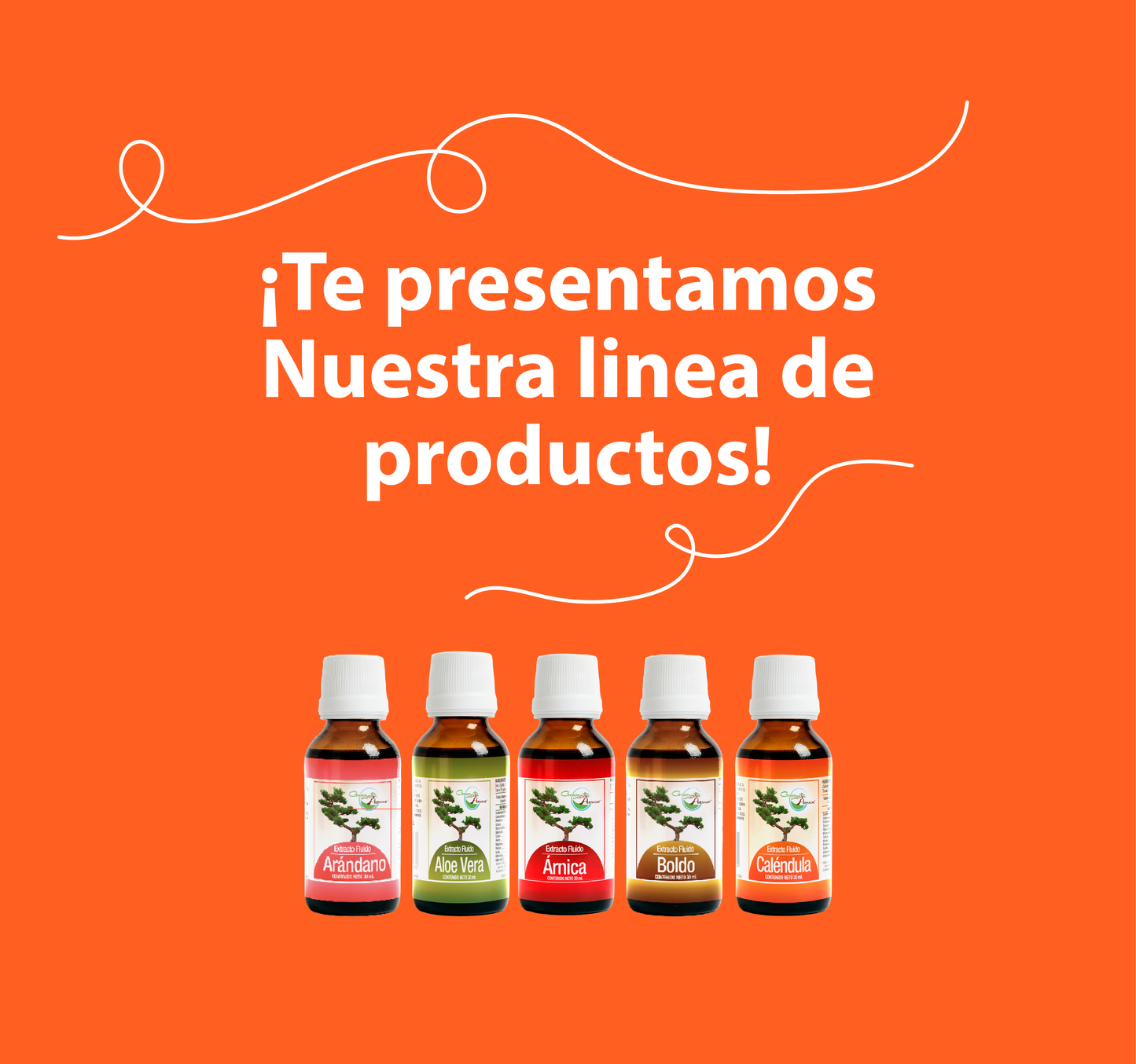 Caléndula 30ml | extracto liquido