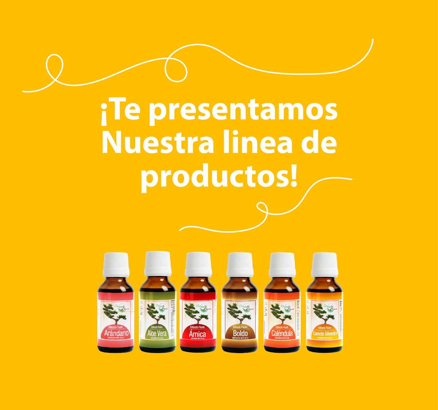 Camote Silvestre 30ml | extracto liquido
