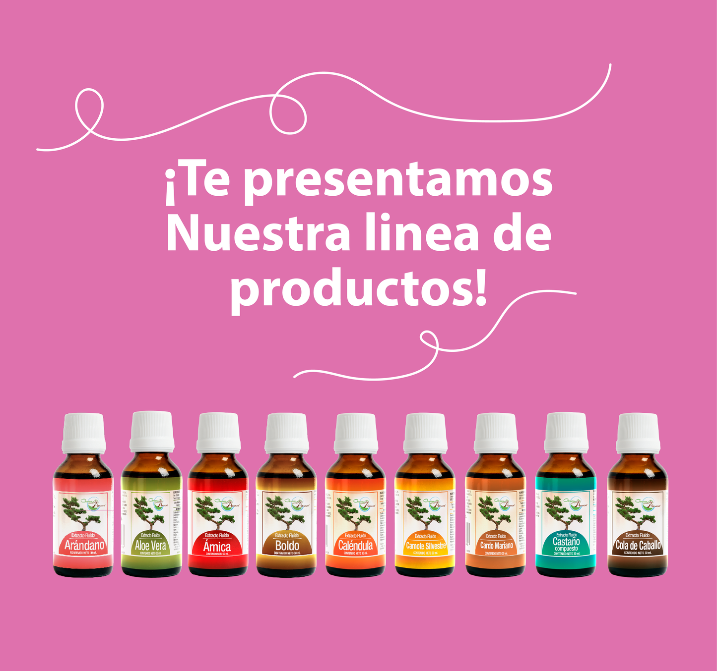 Tomillo 30ml | extracto liquido