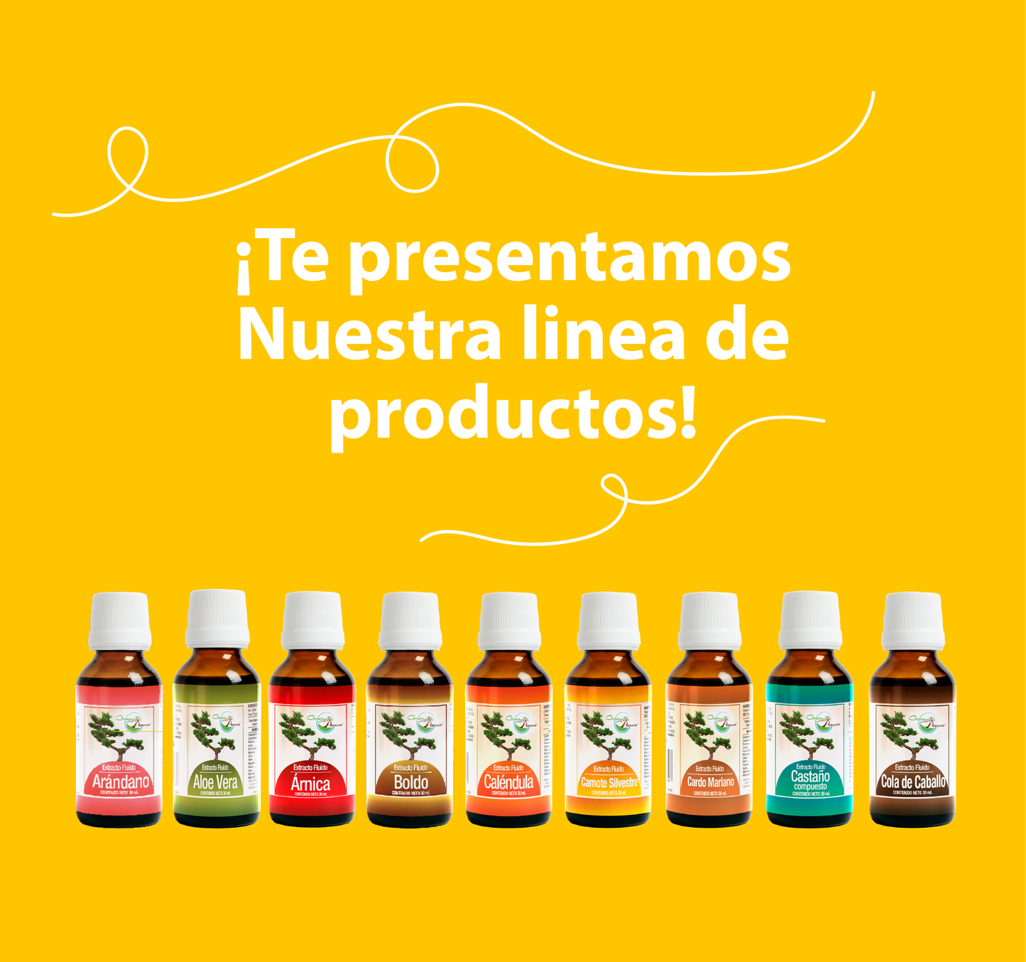 Zapote Blanco 30ml | extracto liquido