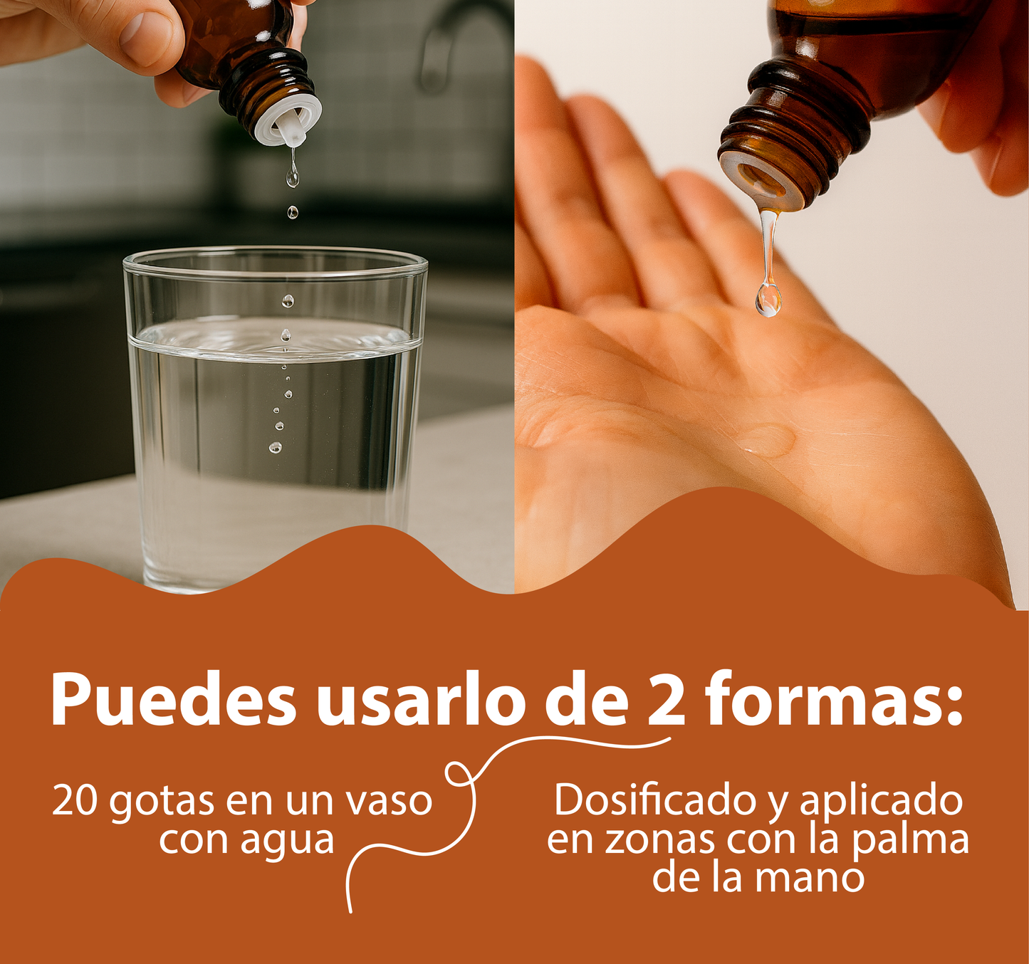 Cardo Mariano 30ml | extracto liquido