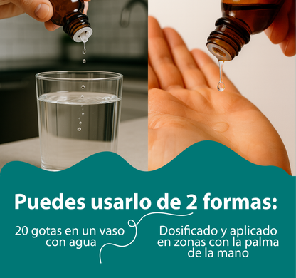 Castaño Compuesto 30ml | extracto liquido