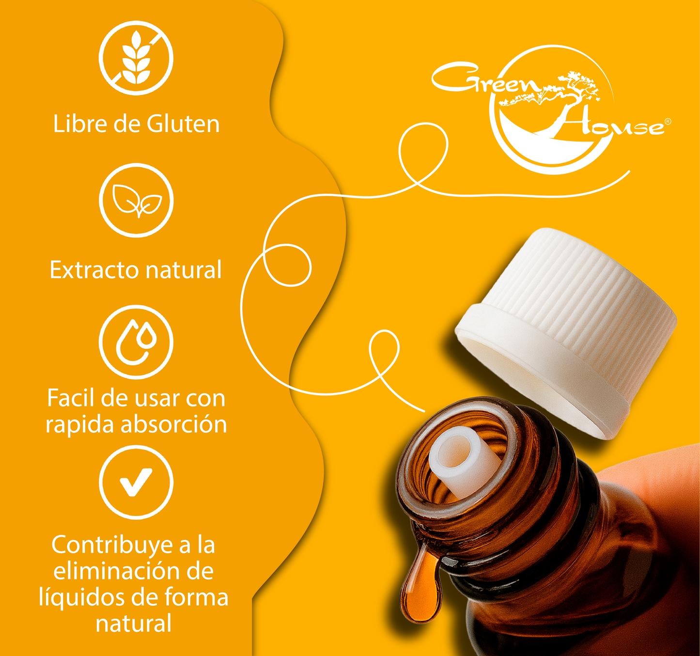 Diente de León 30ml | extracto liquido