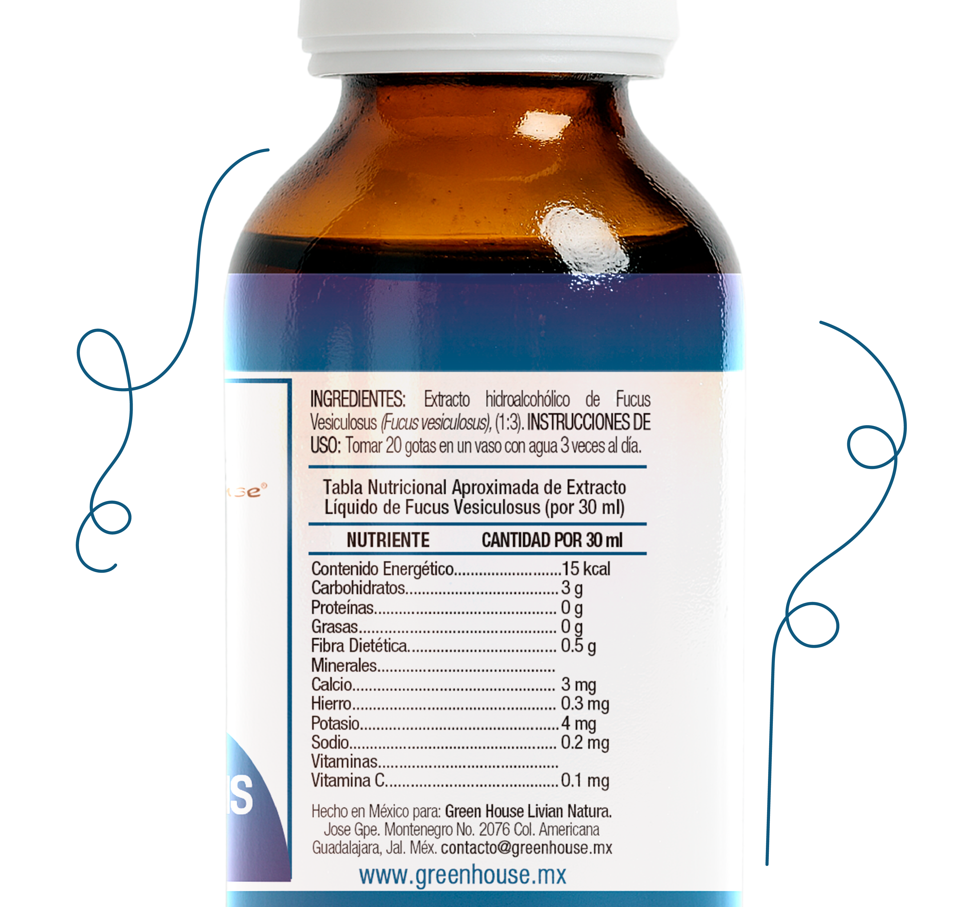 Fucus Versiculosus 30ml | extracto liquido