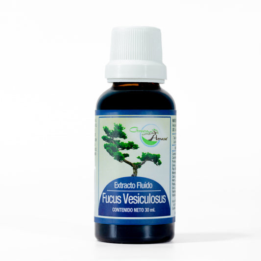 Fucus Versiculosus 30ml | extracto liquido