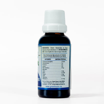 Fucus Versiculosus 30ml | extracto liquido