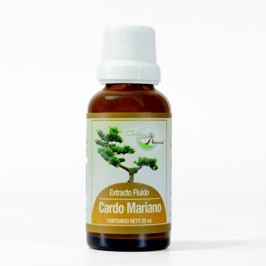 Cardo Mariano 30ml | extracto liquido