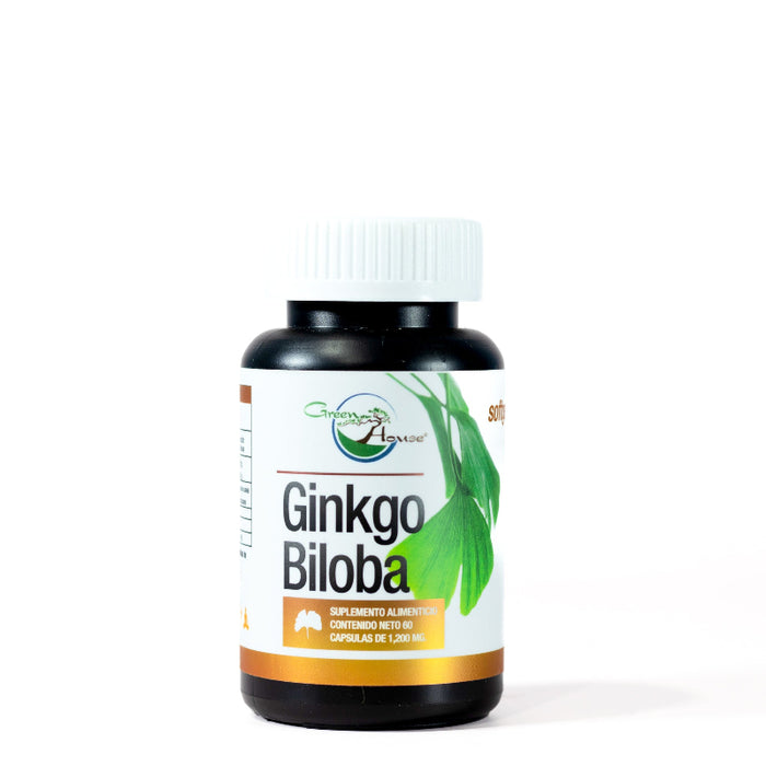 Ginkgo Biloba Green House | Extracto Herbal Tradicional (60 cáps)