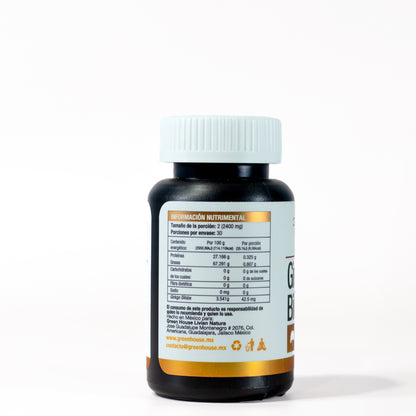 Ginkgo biloba | 60 Cáps