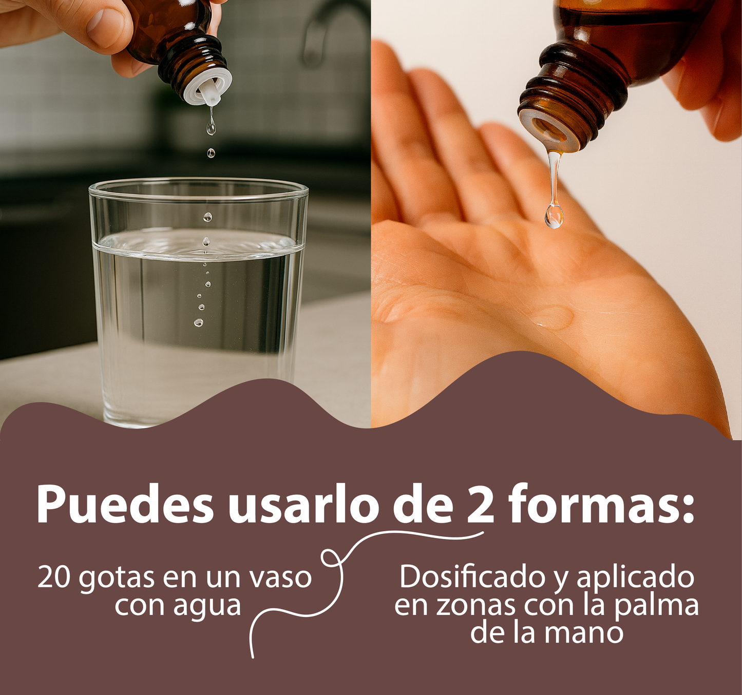 Phytolaca 30ml | extracto liquido