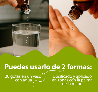 Té Verde 30ml | extracto liquido