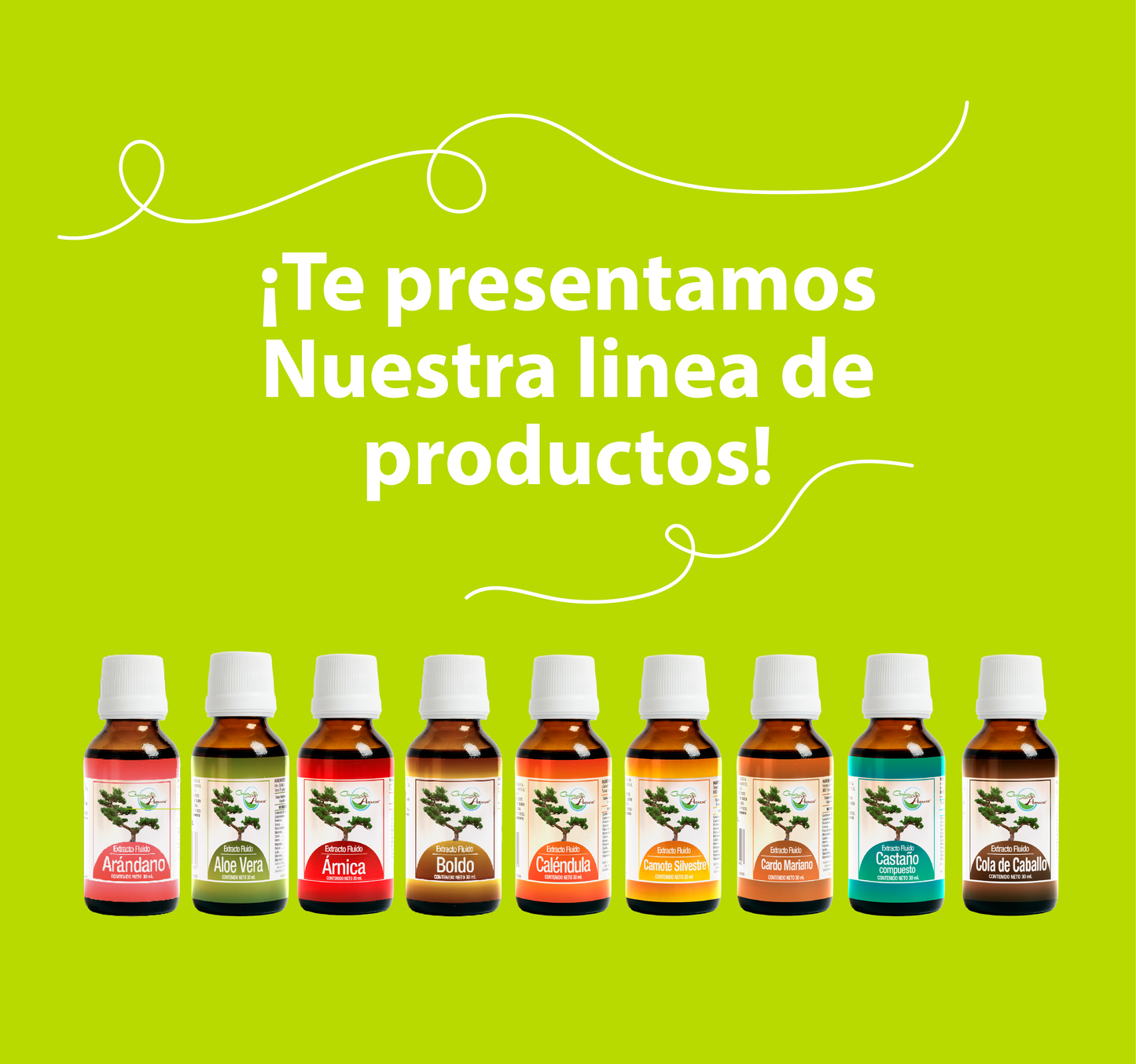 Té Verde 30ml | extracto liquido