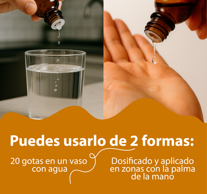 Boldo 30ml | extracto liquido