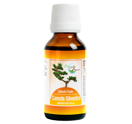 Camote Silvestre 30ml | extracto liquido