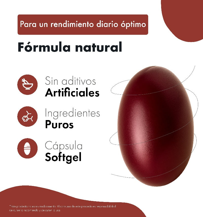 Aloe vera + Cuachalalate | 60 Cápsulas softgel