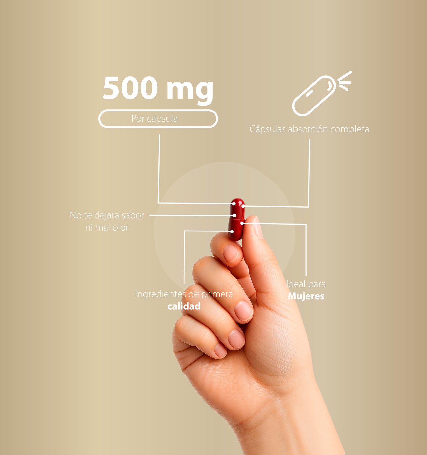 Isoflavones de soya | 100 Cápsulas