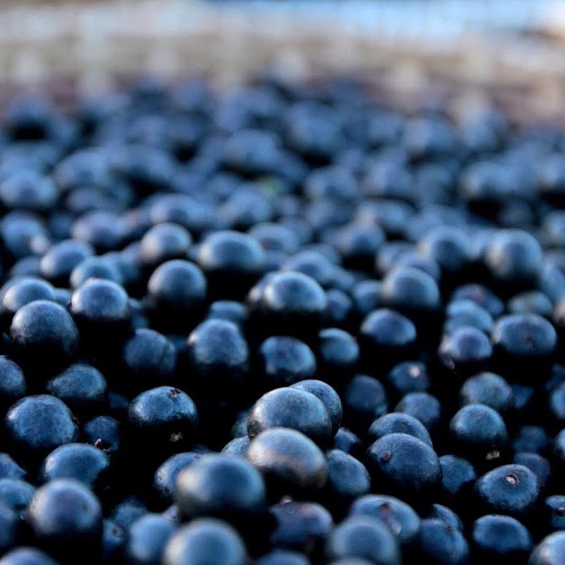 Açaí